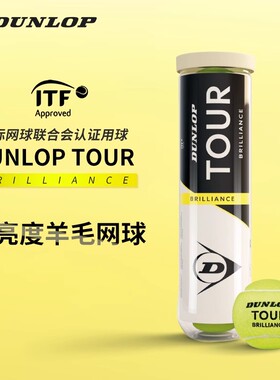 DUNLOP邓禄普网球加亮网球TOUR BRILLIANCE 2025新球练习比赛用球