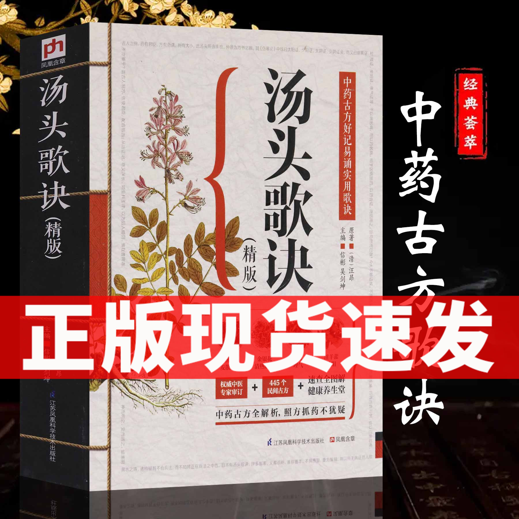 汤头歌诀正版 白话解全书详解图解 中药配方精版 中医名著入门 养生偏方大全书籍旧书汉金书局 汤头歌诀白话解人民卫生出版社