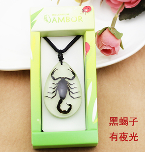真昆虫蝎子手链琥珀夜光复古个性创意礼品天蝎座项链民族田园吊坠