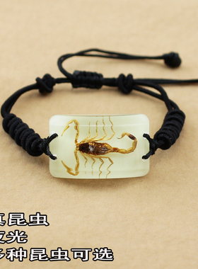 真昆虫夜光手链创意男女蝎子民族