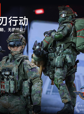 JEU【现货】1/6兵人手办模型 中国空降兵利刃行动X001特种兵摆件