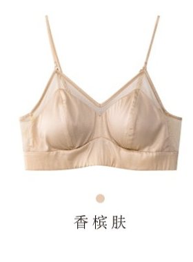 真丝内衣女无钢圈舒适美背夏季薄款法式三角杯细肩带网纱文胸抹胸