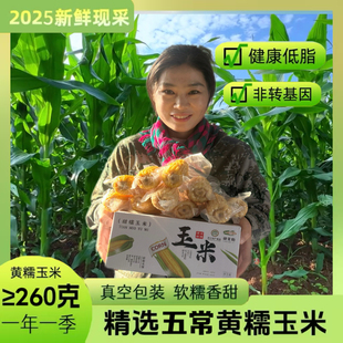 {试吃2根}五常甜糯玉米东北鲜食玉米一箱8根黄玉米白玉米真空包装