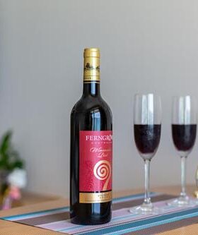 澳大利亚进口芬格富酿酒师优选西拉2019干红葡萄酒14度750ml*1瓶