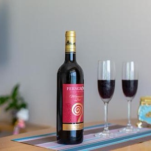 澳大利亚进口芬格富酿酒师优选西拉2019干红葡萄酒14度750ml*1瓶