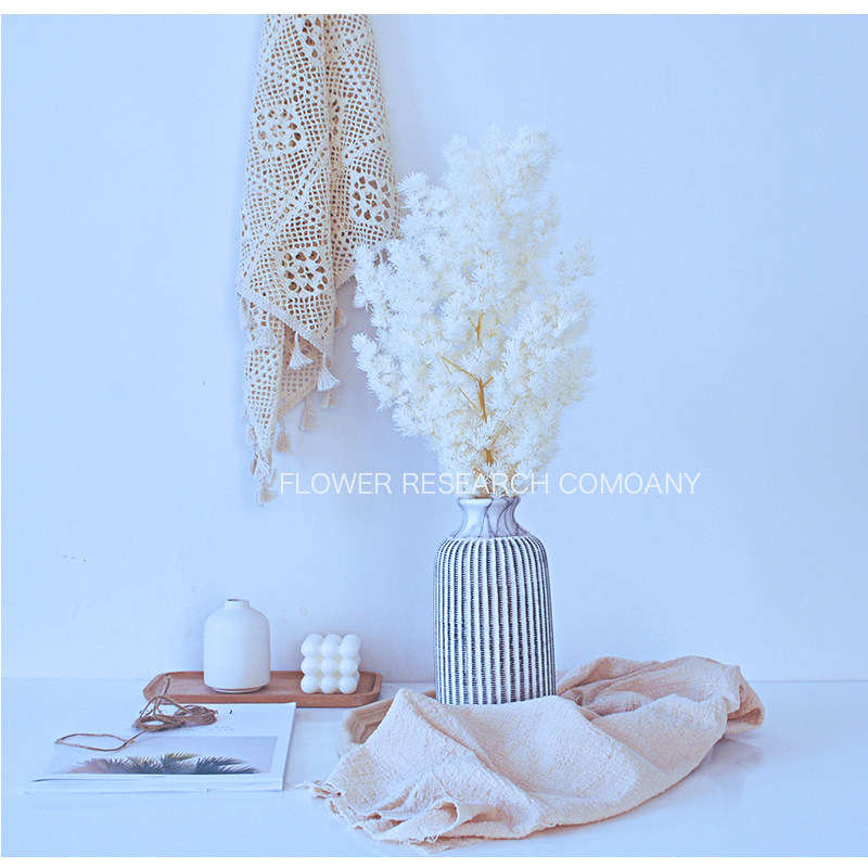 蓬莱松永生花白色diy礼盒玻璃罩材料手工制作挂件车挂干花配花 莳花志 淘优券