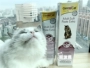 Jun Bao Gimcat Pet Cat Malt Tăng cường kem dưỡng tóc cho tóc bóng Jun Bao 200g Vận chuyển 20 tháng 5 - Cat / Dog Health bổ sung 	sữa cho chó con uống