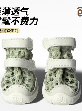 DJJ狗狗休闲鞋全新升级