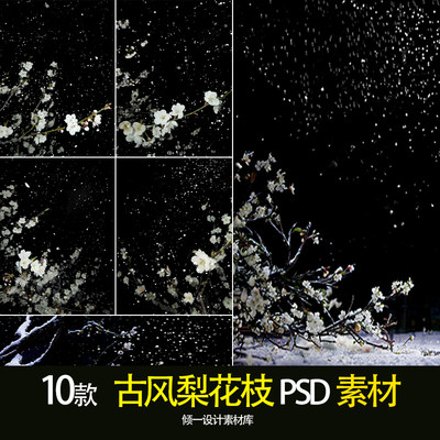 新中式古风汉服清冷美人梨花枝雪景写真相册照psd设计素材模板ps