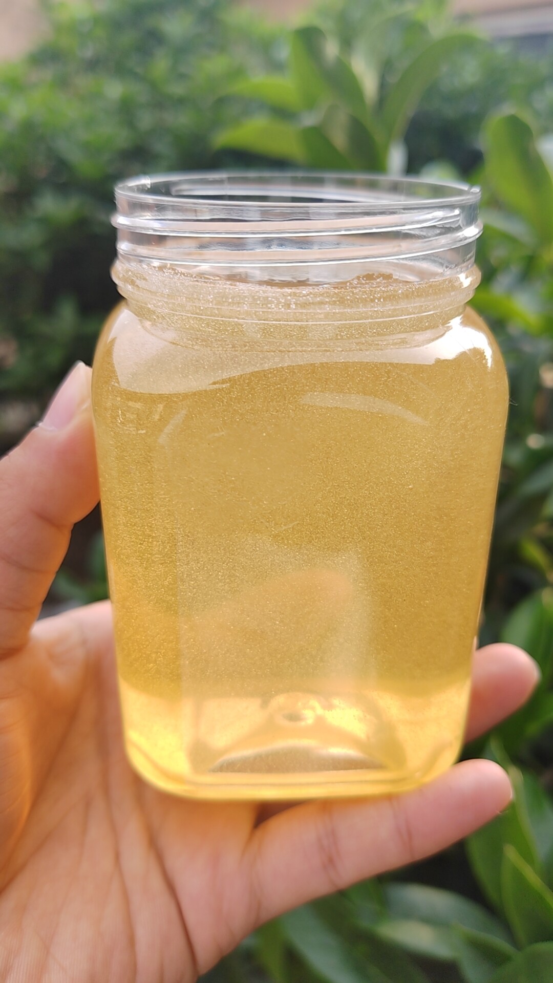 洋槐花蜂蜜纯正天然野生成熟42.5度无浓缩无添加水白洋槐蜜500g