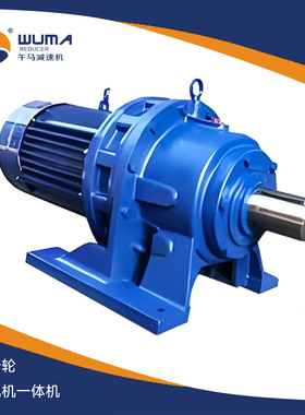 午马摆线针轮一体机BWD卧式BLD立式XWD卧式XLD立式+国标全铜电机