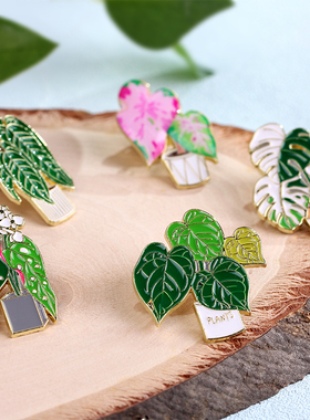热带植物金属胸针徽章龟背竹花烛秋海棠热植系列个性文创装饰品
