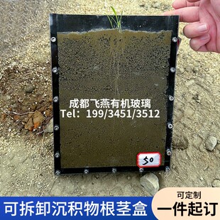 透明可拆卸沉积物培养盒植物根茎观察盒根际湿地土壤根系箱亚克力
