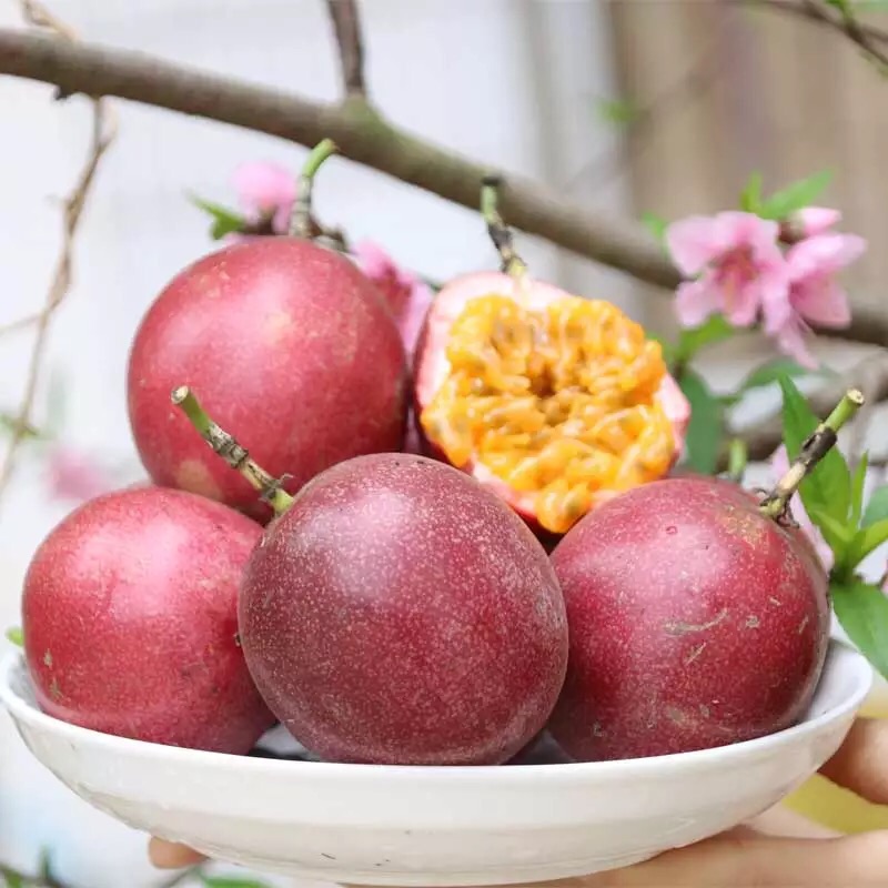 广西百香果10个大果新鲜热带西番莲鸡蛋果 现摘水果酸爽香甜斤5|ruв категории зерно риса/север и Юг сухих грузов/приправы, север и Юг сухих грузов/мясо сухих грузов, сухогрузный/родной, другие - от Buy2taobao.com для оказания профессиональной услуги покупки агента Taobao