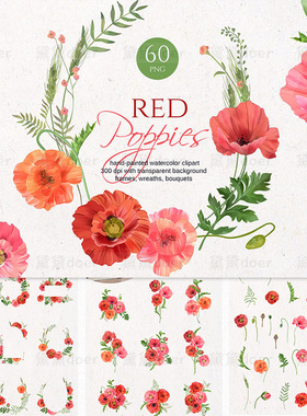 手绘水彩红罂粟鲜花绿色植物花束框架花环插画PNG设计图片素材