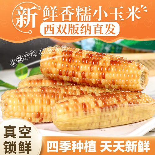 西双版纳小花糯玉米即食低脂