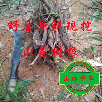 山苍子根山苍树根豆豉羌过山香满山香毕澄茄子根500克包邮