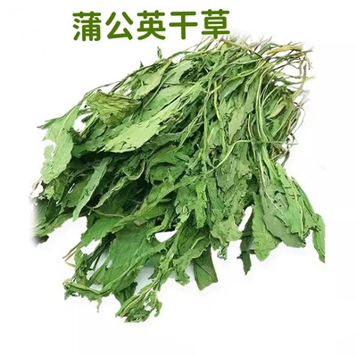 蒲公英干草兔子龙猫仓鼠零食