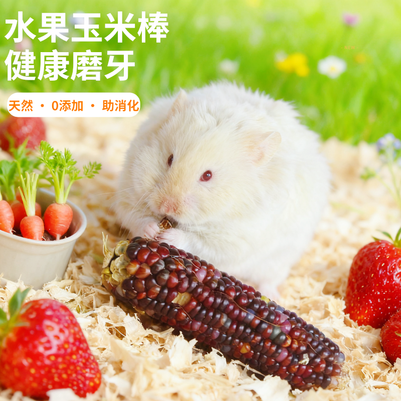 仓鼠磨牙零食水果小玉米磨牙棒冻干玉米棒会掉籽花枝鼠金丝熊用品