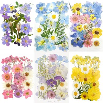 春日来信DIY干花滴胶材料包