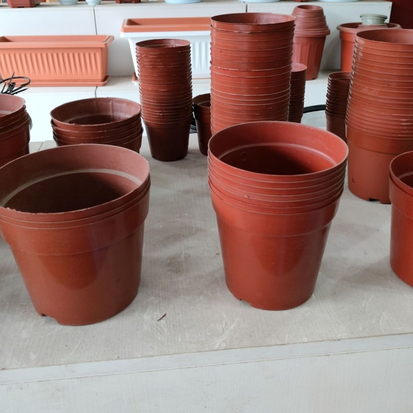 塑料花盆园艺基地苗圃育苗网底圆盆网底花盆多肉种子小植物基地盆
