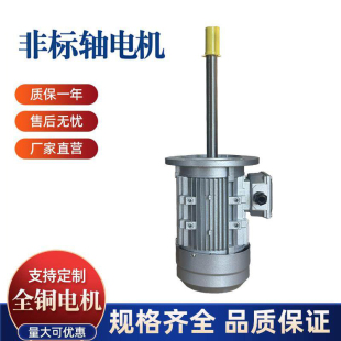 YE3 2800转定做非标轴 YS三相异步电机长轴电机非标电机1400