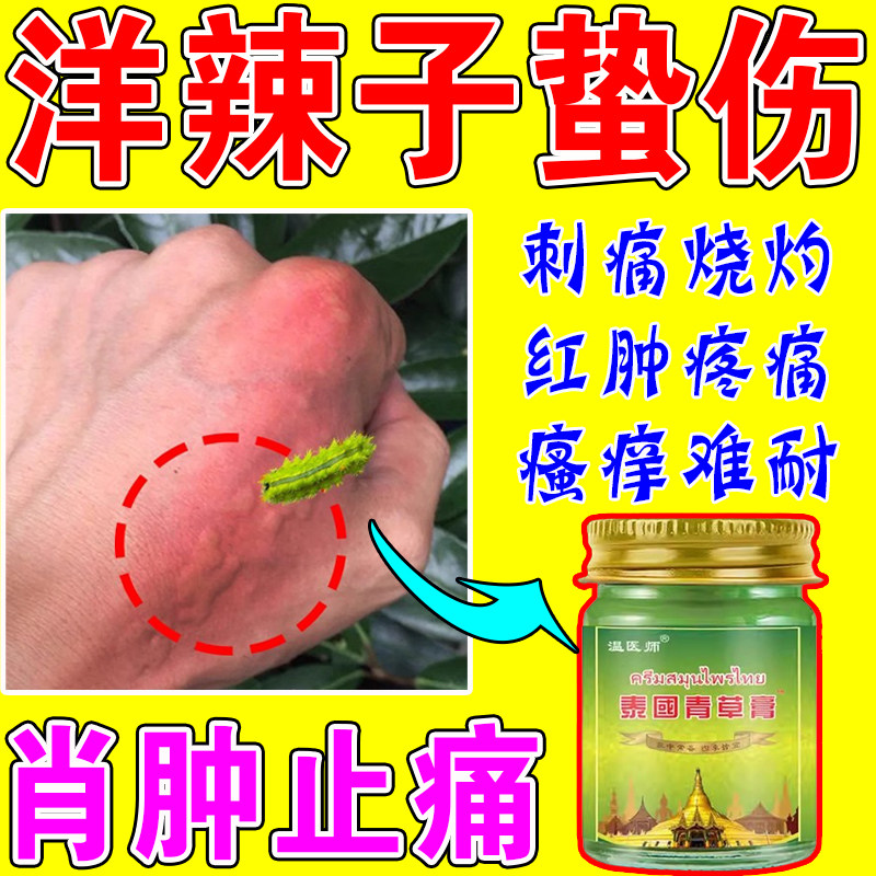 洋辣子蜇伤止痒膏治痒辣子虫咬药毛毛虫刺毛虫咬伤毒虫叮咬刺痛消