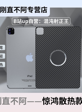 刚直不阿碳纤维磁吸防弯背板适用于24/23/22/21iPadpro11/12.9Air4/5/6商务苹果（惊鸿散热款）