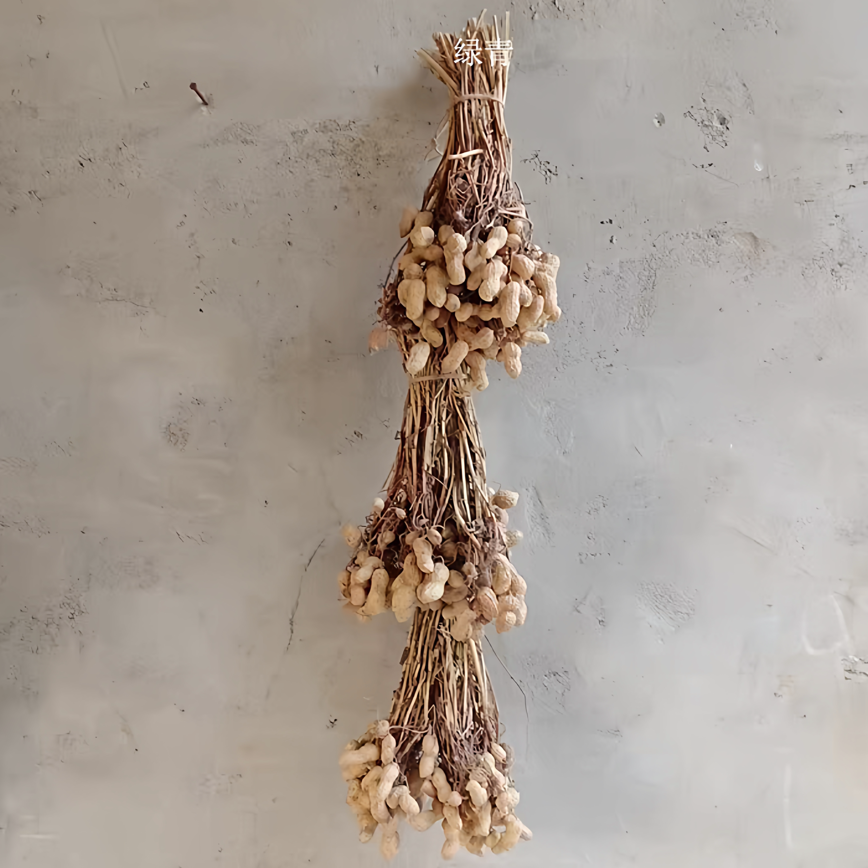 整株真实花生带杆带秧花生 自然风干花生串 晒秋农作物农家乐装饰