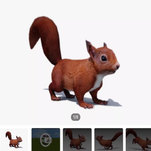 unity松鼠Squirrel