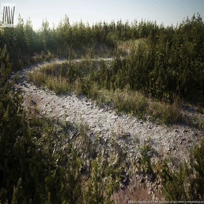 MW Interactive Foliage MW互动树叶4.27虚幻引擎UE5摄影测量景观