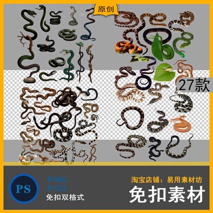黄金蟒竹叶青响尾蛇银环蛇五步蛇青白蛇水晶蛇尾png免扣psd素材