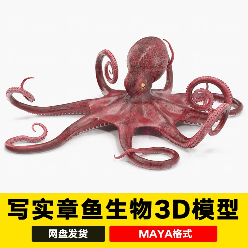 maya写实章鱼八爪鱼触手触角海洋生物带骨骼绑定3D模型3dmax c4d