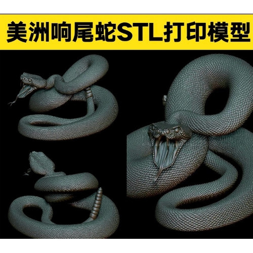 美洲响尾蛇毒蛇3D模型非实物爬行动物高模圆雕图STL/OBJ打印格式
