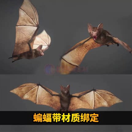 蝙蝠带材质绑定吸血鬼动作fbx飞行3D模型打印c4d素材stl源文件obj