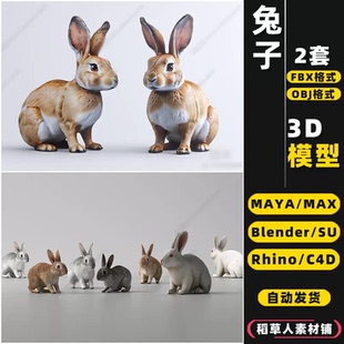 MAYA blender宠物家兔灰野兔子Rhino犀牛SU C4D 3Dmax模型FBX OBJ