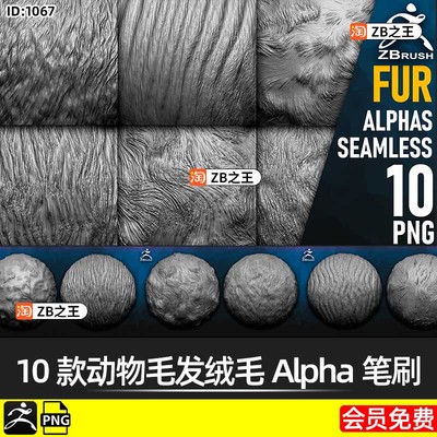 ZBrush动物毛皮毛发绒毛Alpha笔刷png纹理贴图ZB雕刻猫狗牛虎狮豹