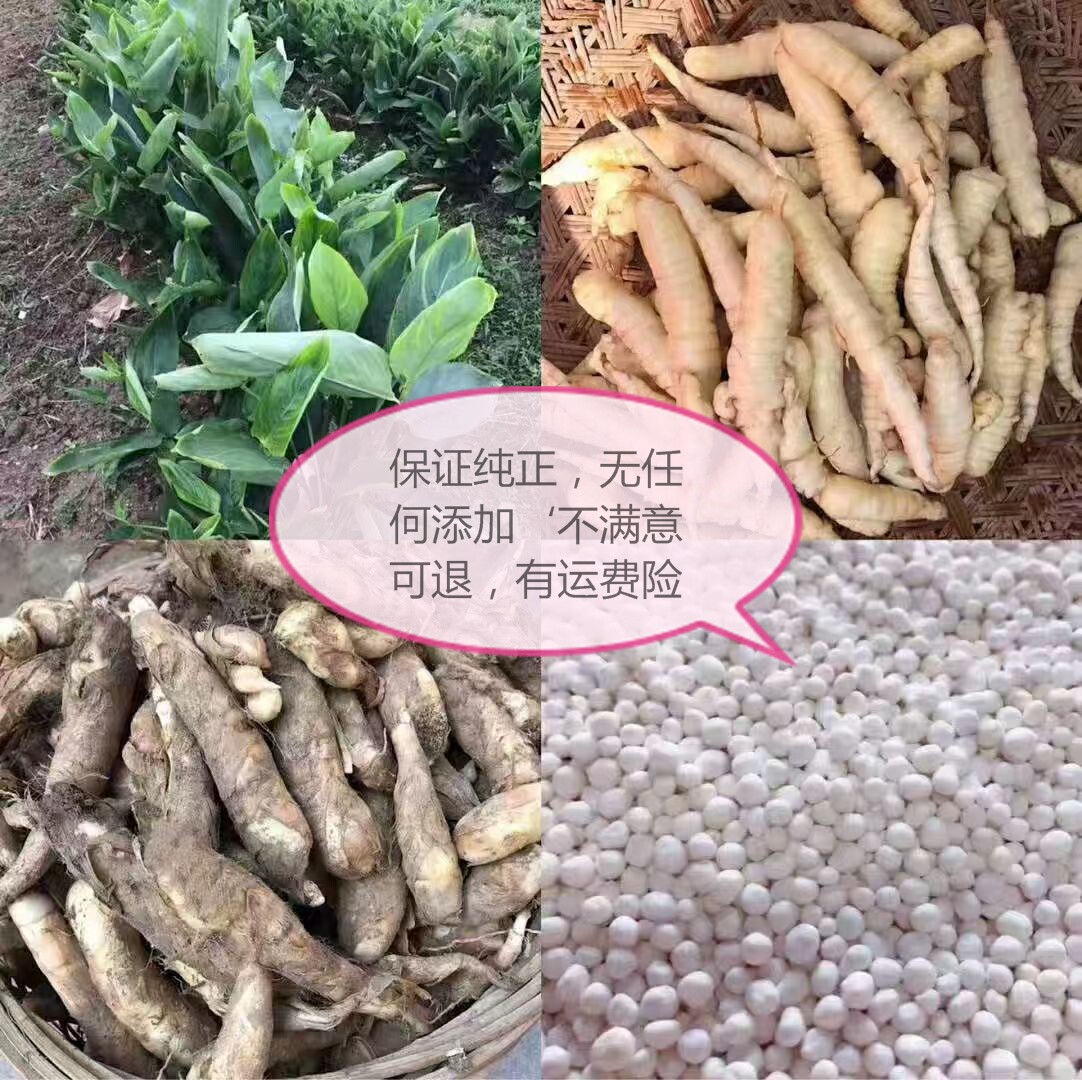 潮汕纯正东京丸 农家手工磨东京薯丸粉 正宗冬京丸竹薯粉丸冬京圆