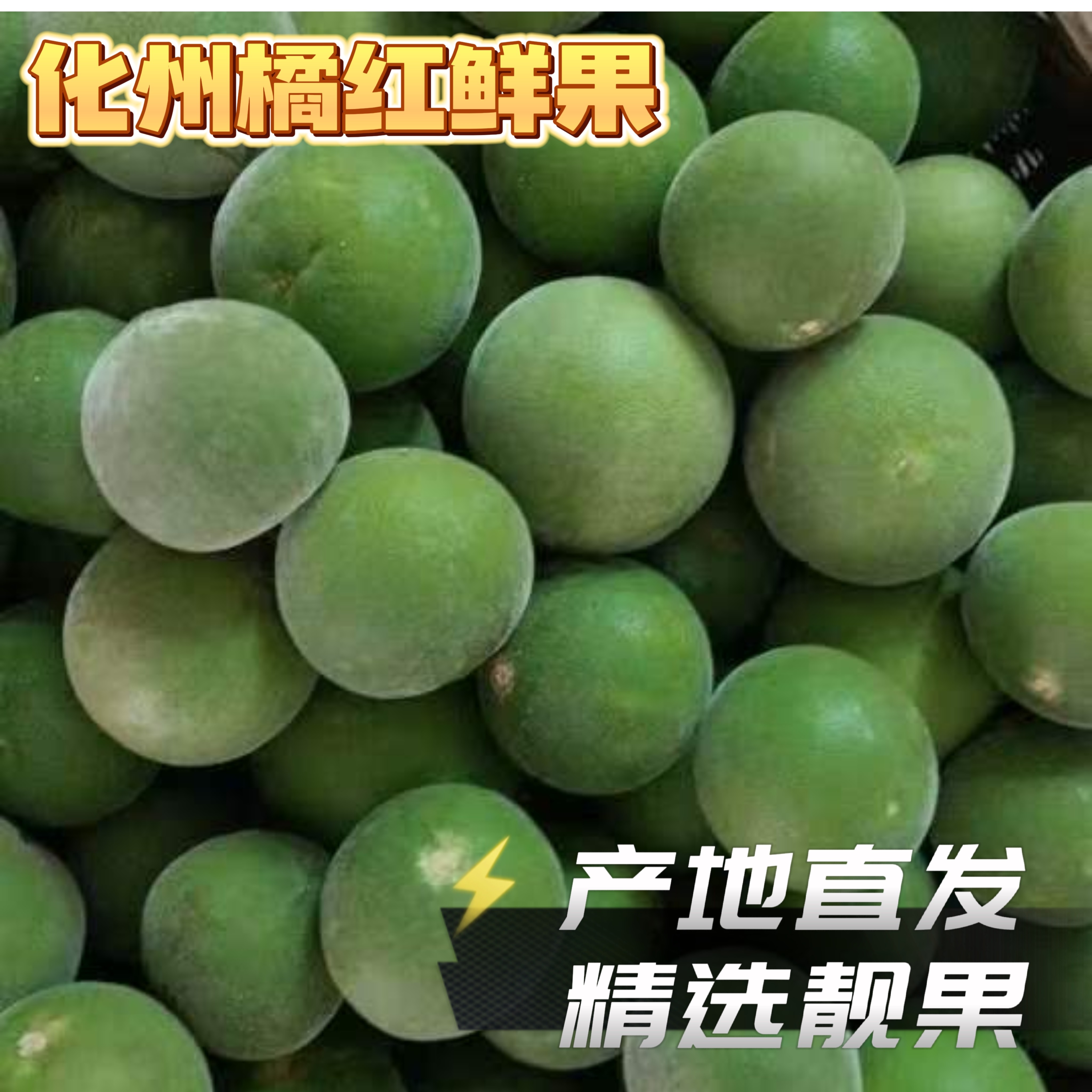 化橘红鲜果正毛化州橘红鲜果青果胎果乳果小果中大果新鲜橘红果