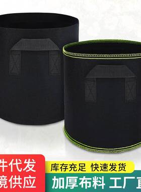 种植袋加厚绿边五线无纺布种树控根器育苗花盆特大毛毡种花草莓美