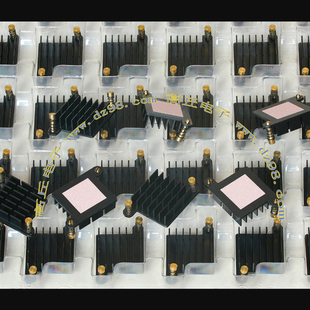 AAVID带铜固定扣30x30x10 10克 附导热垫散热器