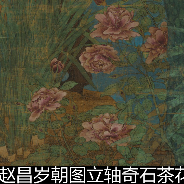 CDA宋代赵昌岁朝图立轴奇石茶花水仙梅白红蜡梅牡丹分辨率72素材