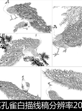 EHL中国传统工笔孔雀白描线稿分辨率200素材资料参考15 772MB