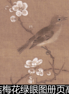 BCD宋代徽宗赵佶梅花绿眼图册页高清素材资料参考1 61.7MB TIF