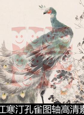 VWY近现代江寒汀孔雀图轴高清素材资料参考1 522MB TIF格式