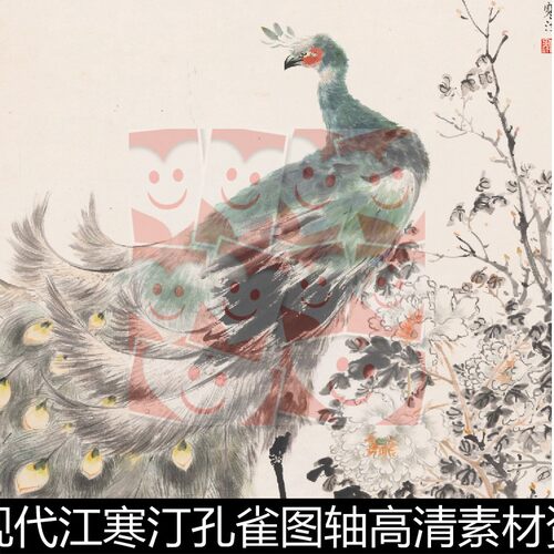 VWY近现代江寒汀孔雀图轴高清素材资料参考1 522MB TIF格式