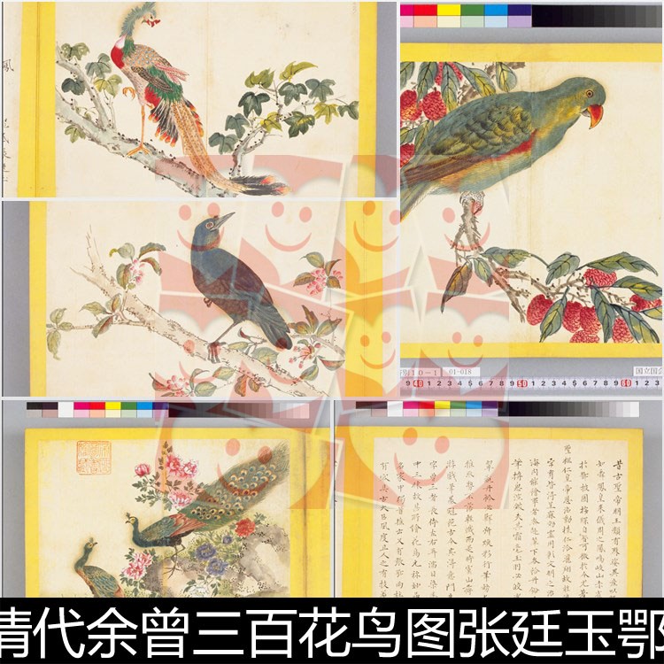 UXP清代余曾三百花鸟图张廷玉鄂尔泰诗版画插图非高清小图素材