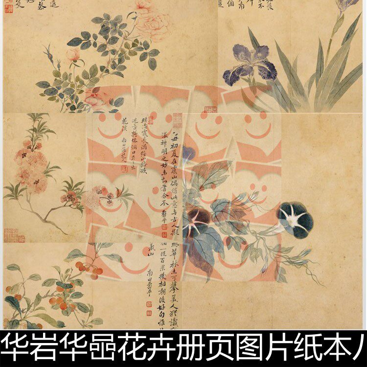 vfr清代华岩华喦花卉册页图片纸本八开高清素材资料参考8 422mb