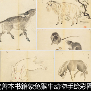 CRF古代善本书籍象兔猴牛动物手绘彩图版 画插图非高清素材资料