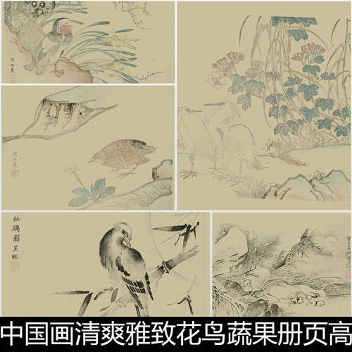 BUD传统中国画清爽雅致花鸟蔬果册页高清素材资料参考